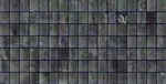 Automated Minirhizotrons